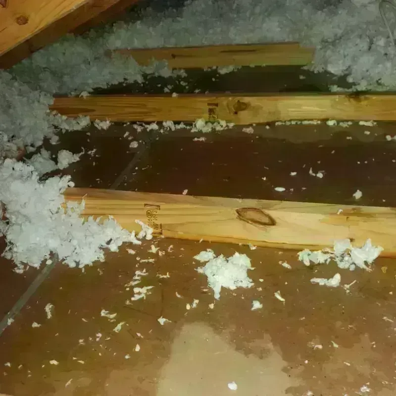 Attic Water Damage in Foley, AL