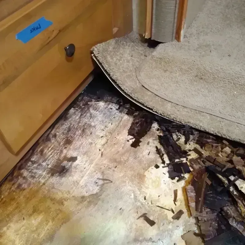 Wood Floor Water Damage in Foley, AL